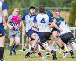 BC-Rugby-Union-Westshore-RFC-Rugby-Canada-Pride-Development-Seattle