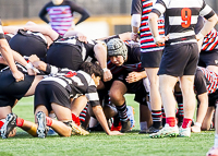 Bc-Rugby-U16-High-school-Age