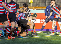 Bc-Rugby-U16-High-school-Age