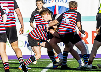 Bc-Rugby-U16-High-school-Age