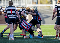 Bc-Rugby-U16-High-school-Age