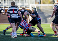 Bc-Rugby-U16-High-school-Age