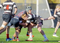 Bc-Rugby-U16-High-school-Age