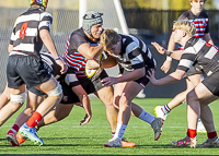 Bc-Rugby-U16-High-school-Age