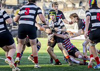 Bc-Rugby-U16-High-school-Age