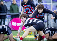 Bc-Rugby-U16-High-school-Age