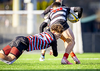 Bc-Rugby-U16-High-school-Age