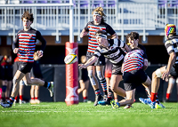 Bc-Rugby-U16-High-school-Age