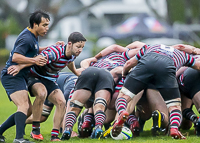 Mt-Doug-Rams-Windsor-High-School-Football