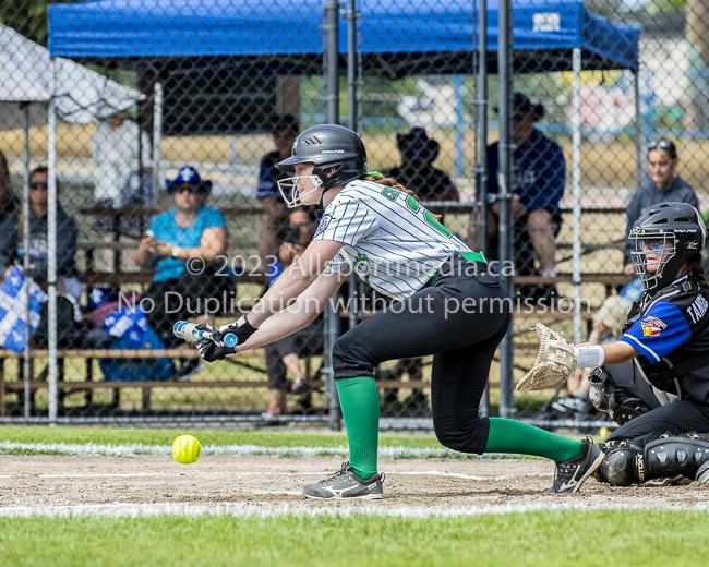 ISN Hampton Little League Softball Canadian Championships Allsportmedia Photofraphy