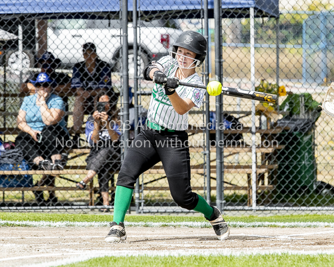 ISN Hampton Little League Softball Canadian Championships Allsportmedia Photofraphy