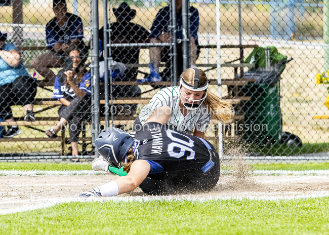 ISN Hampton Little League Softball Canadian Championships Allsportmedia Photofraphy