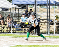 ISN-Hampton-Little-League-Softball-Canadian-Championships-Allsportmedia-Photofraphy