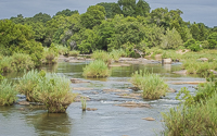 Africa-Chobe-Kruger-Capetown-South-Africa-Botswana