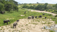 Africa-Chobe-Kruger-Capetown-South-Africa-Botswana