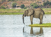 Africa-Chobe-Kruger-Capetown-South-Africa-Botswana